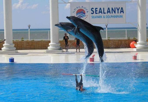 Sealanya Dolphinpark (show) from Alanya