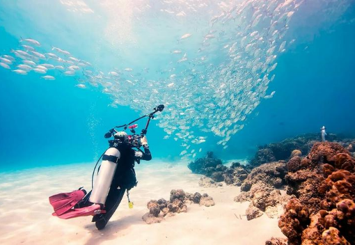 Diving (2 dives)
